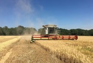 [K/CL/003] Solsteer CLAAS Lexion, Jaguar, with yield (12-17) Kit